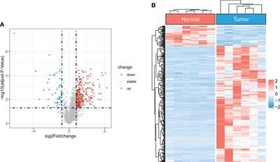 Identification of cuproptosis-related lncRNA prognostic signature for osteosarcoma